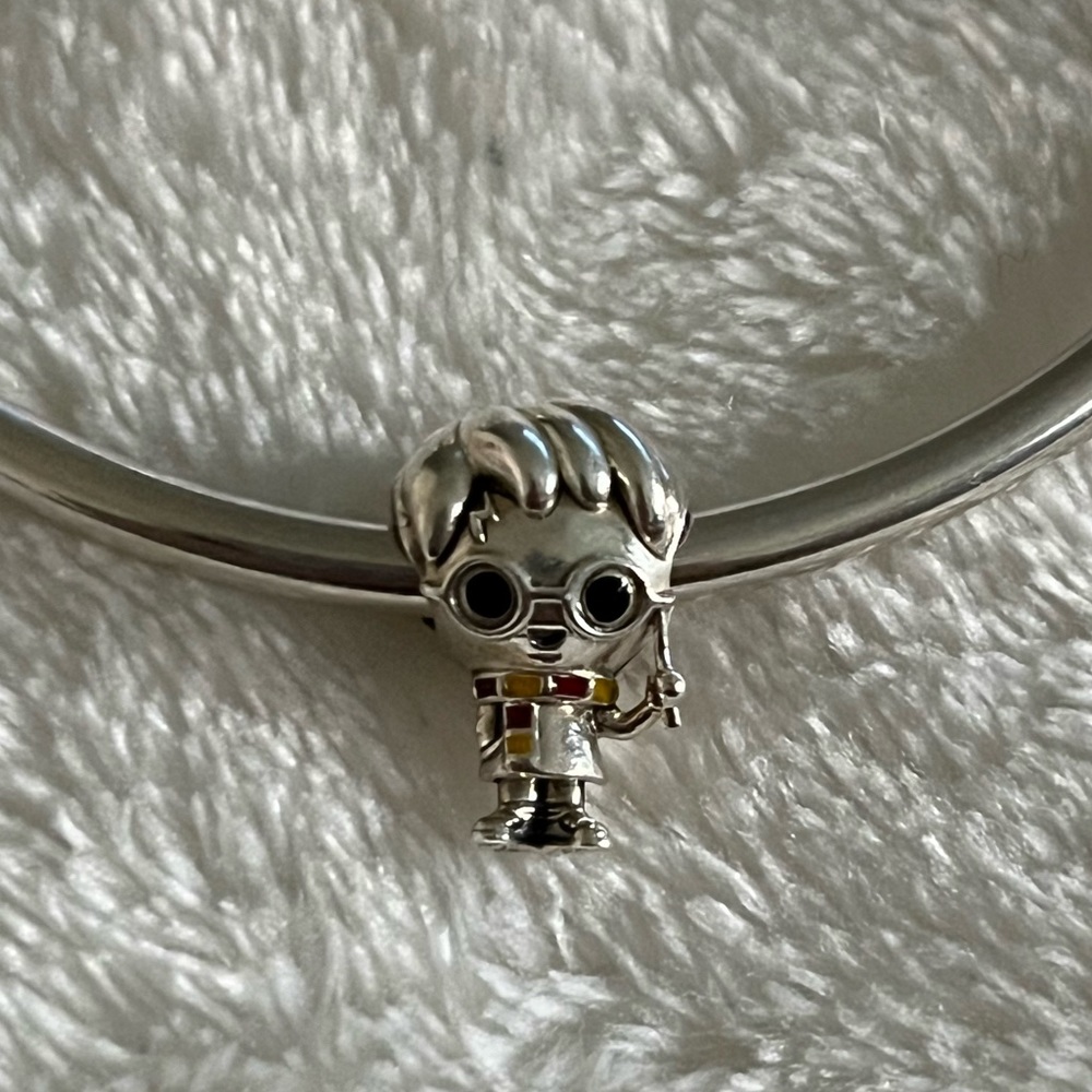 Harry Potter Pandora Charms